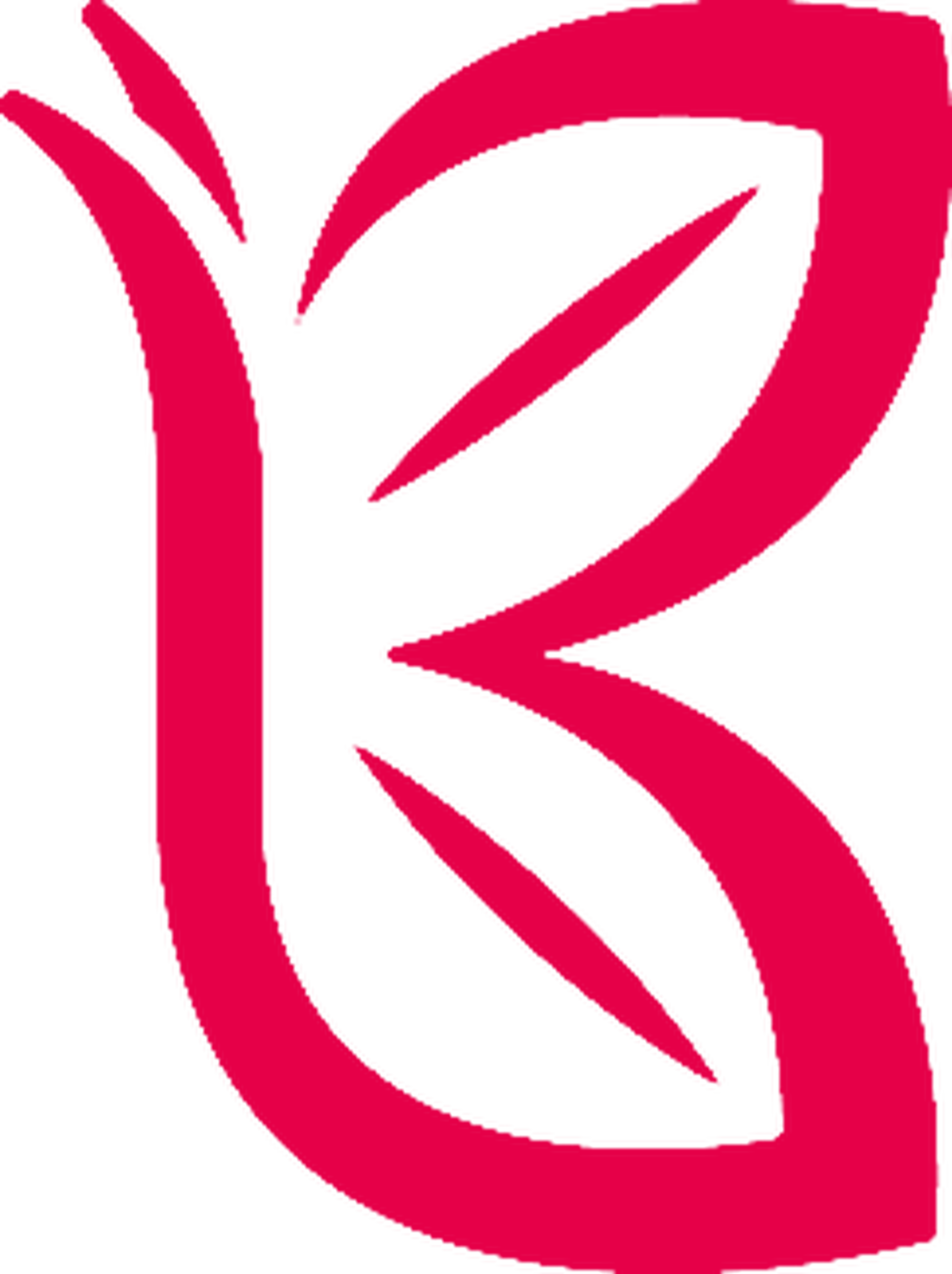 Red Butterfly logo mark